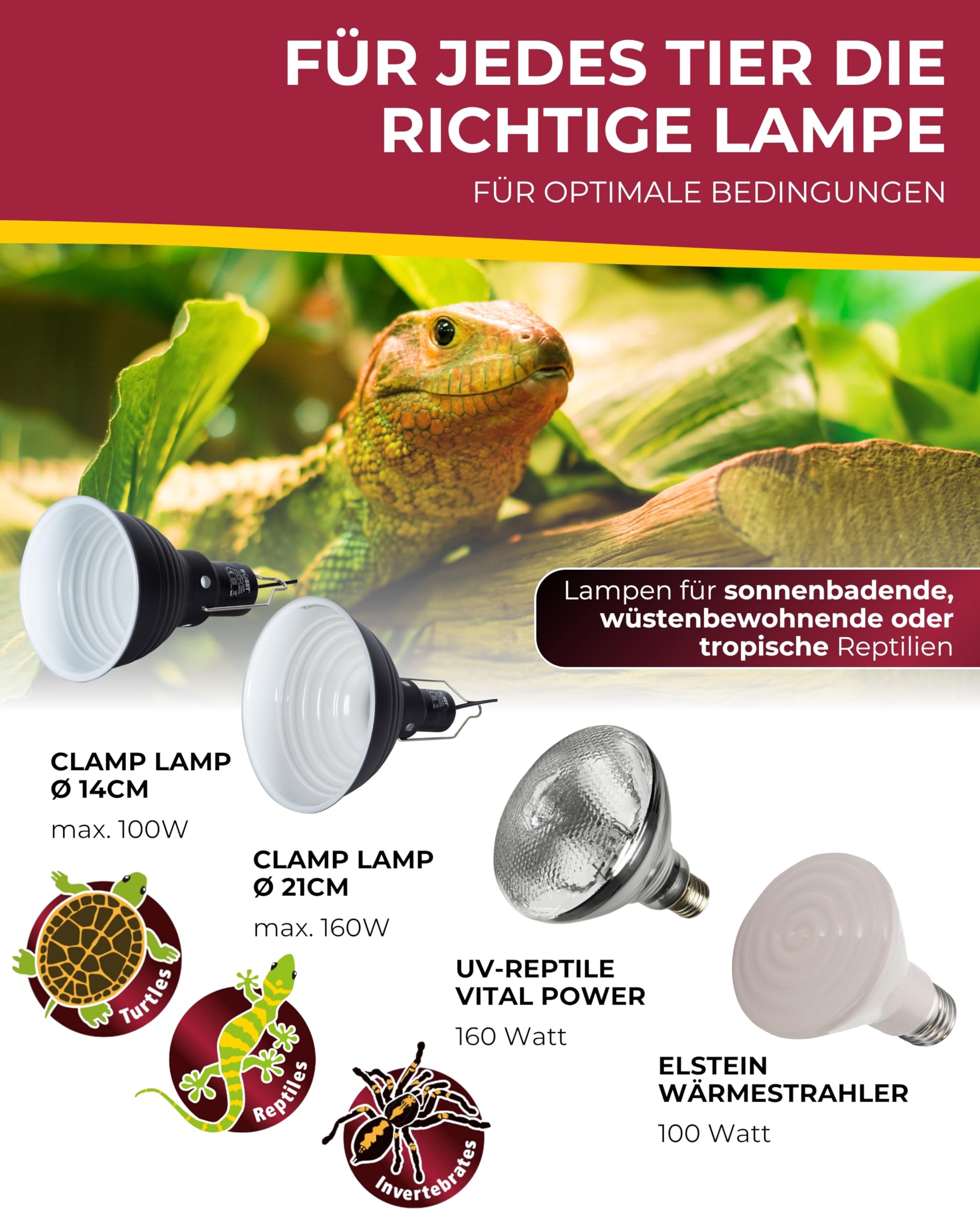 Hobby Clamp Lamp Terrarium Leuchte 21 cm I Hitzebeständige Keramikfassung E27 für Wärme-, Licht- & UV-Lampen I Mit Reflektorschirm, Klammer & Schalter I Sichere, Flexible Terrarium Beleuchtung