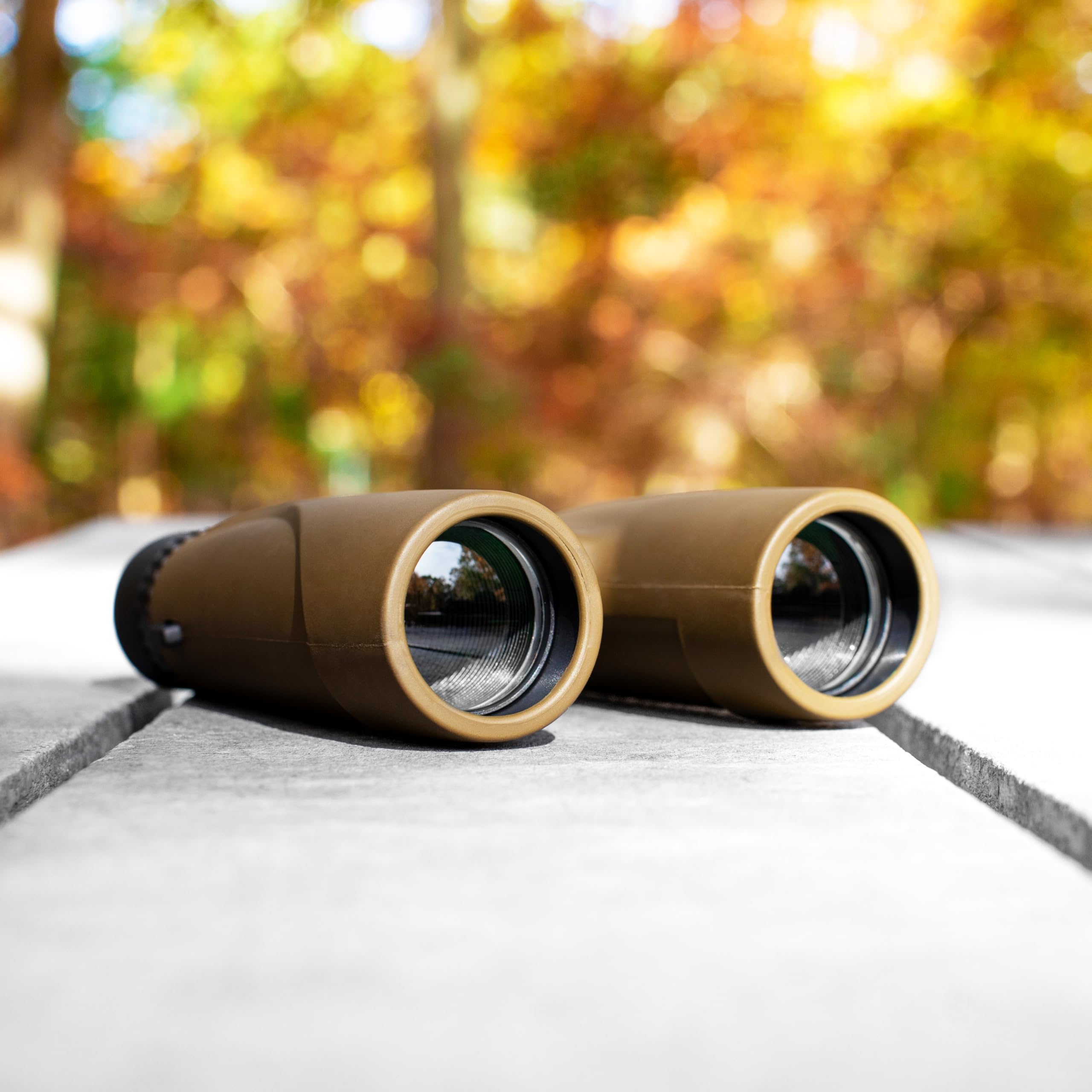 Carson Stinger kompaktowa lornetka 12 x 32 mm do obserwacji ptaków, polowania i podróży