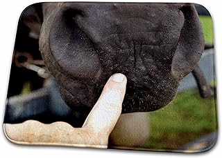 3dRose tag your it finger on muzzle horse - Dish Drying Mats (ddm-196210-1)