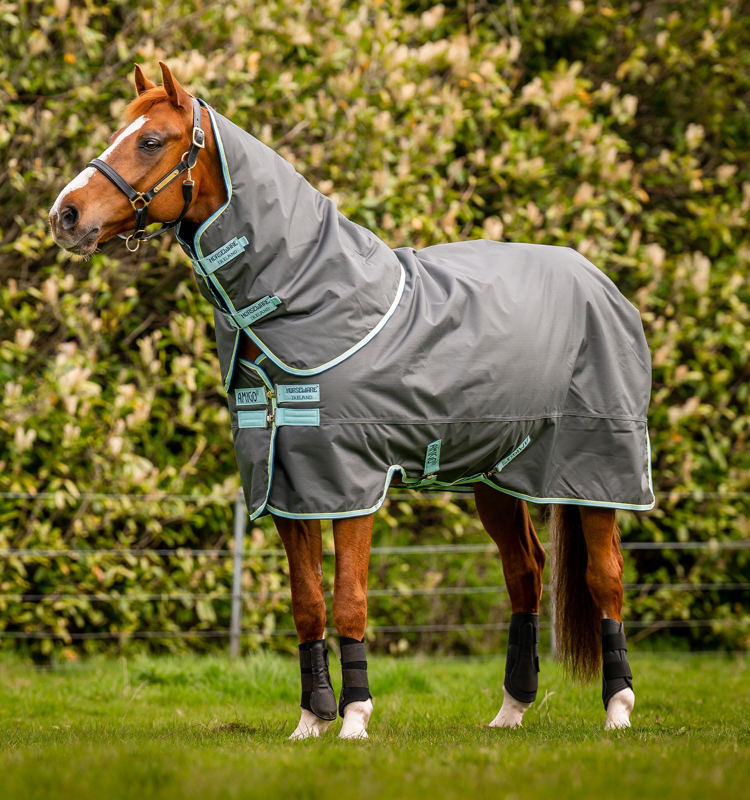 Manta de caballo Amigo Hero Ripstop Plus Horseware de 200g mediana para invierno