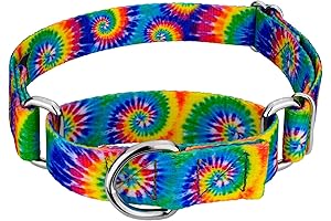 Country Brook Petz - Tie-Dye Martingale Dog Collar (1 Inch, Medium)