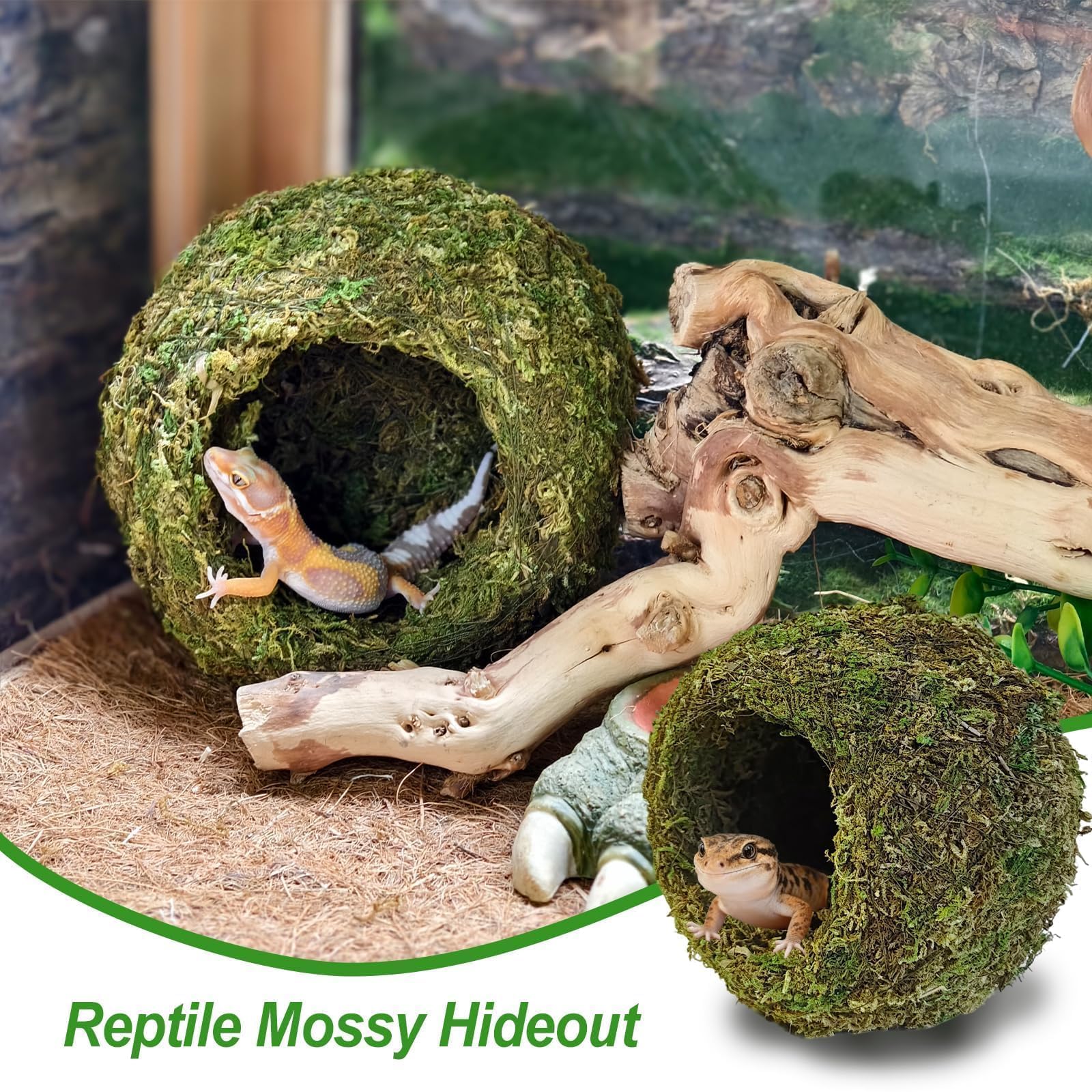 2 escondites de cueva de musgo verde húmedo, un accesorio natural y seguro para tanque de geco crestado, decoración perfecta para terrario y vivero con musgo para lagarto, rana