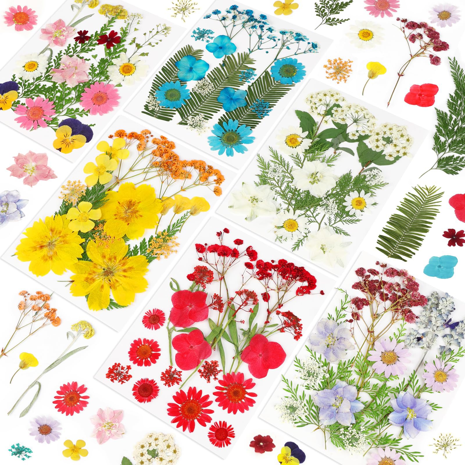 Tastetreasure 210Pcs Natural Dried Flowers and Leaves Set, Real Pressed Flowers for Resin Molds Crafts, Colorful Floral Decoration for Candle Making Soap Nail Art DIY, 210 Pieces