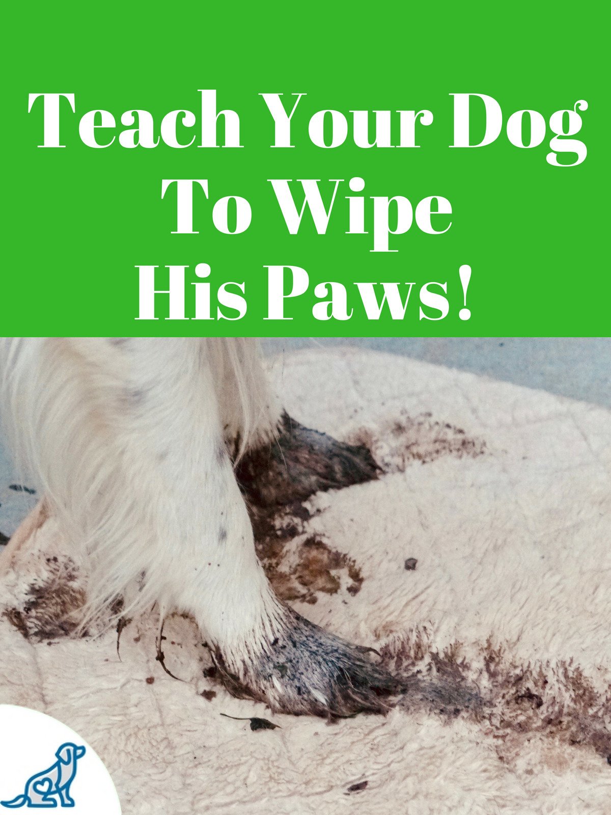 Teach Your Dog To Wipe His Paws Ken Steepe, Ken Steepe