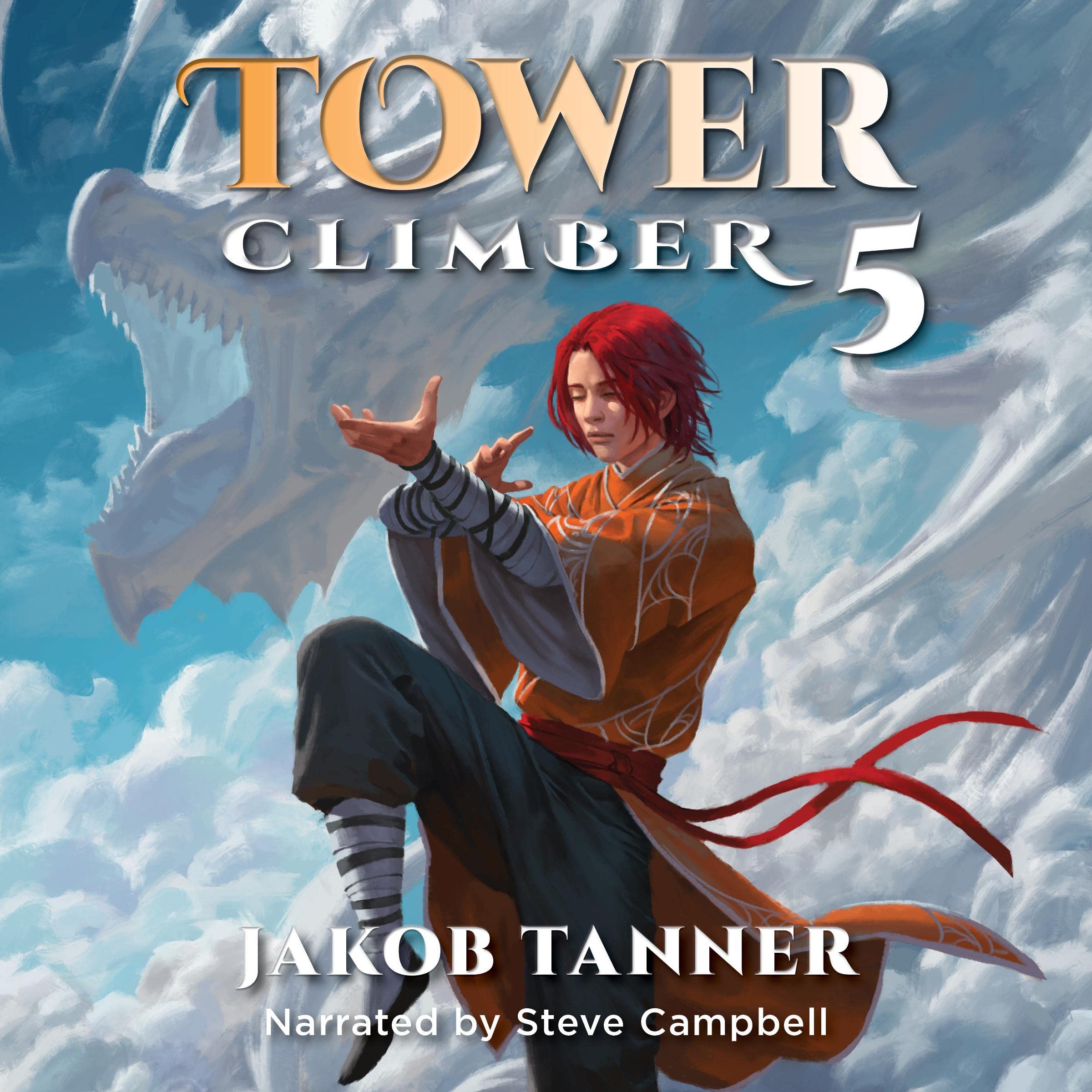 Cover art for Tower Climber 5