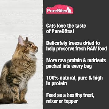 PureBites Freeze Dried Salmon Cat Treats 11g | 1 Ingredient | Made in USA (Packaging May Vary)