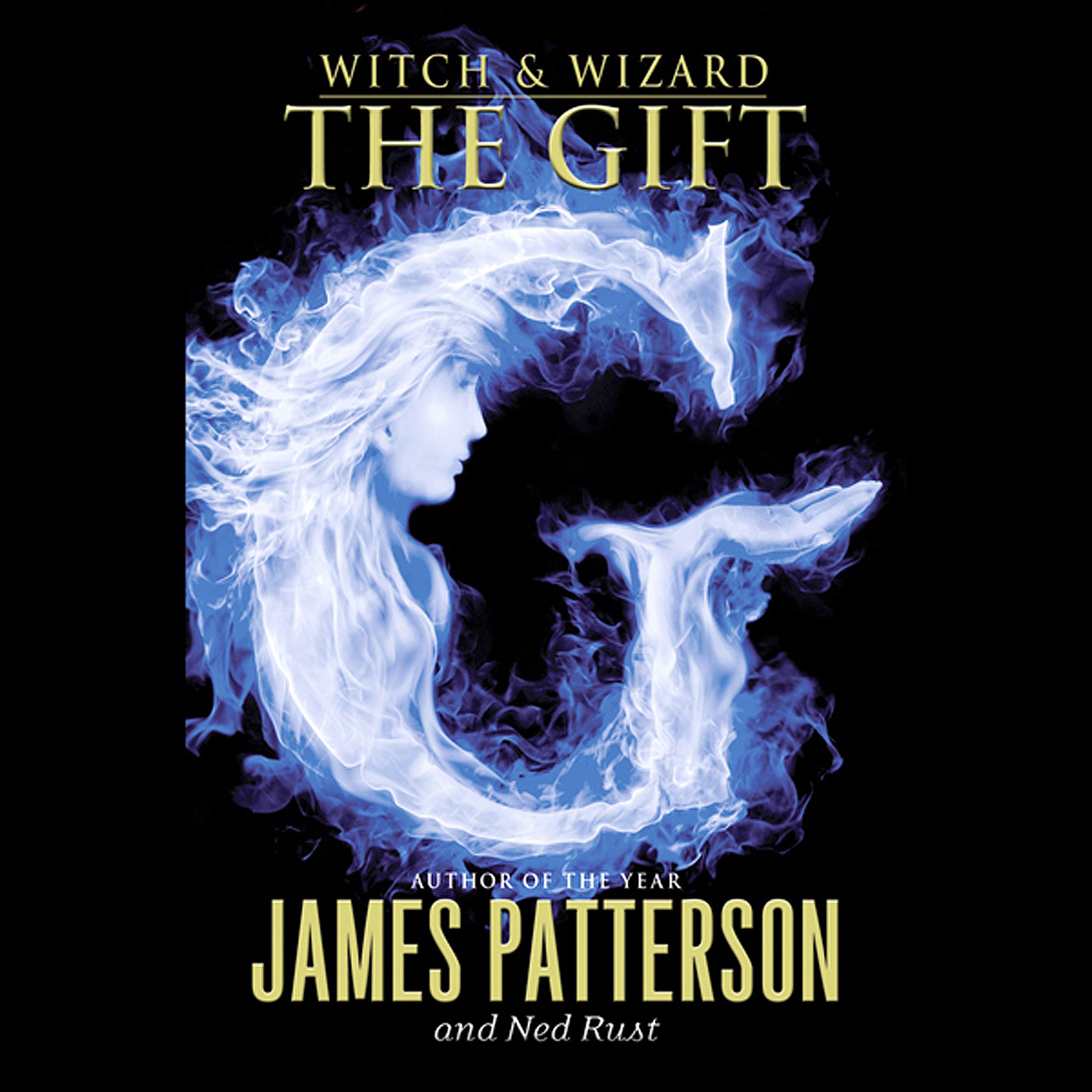 James PattersonWitch & Wizard: The Gift