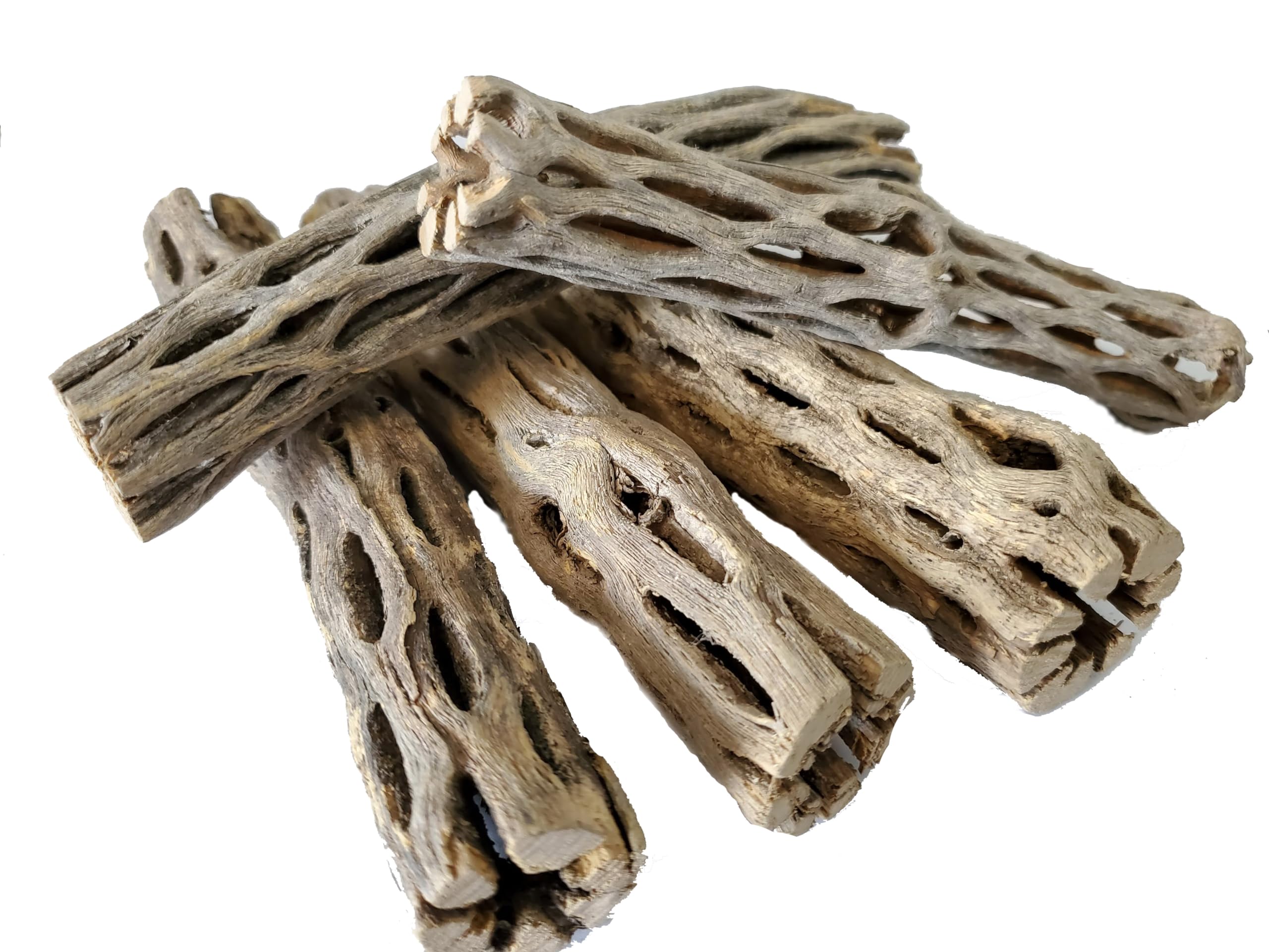 Natural Cholla Wood for Aquarium Decoration, Shrimp, Hermit Crab, Chew Toys for Small Pets (6 Inches Long(Pack of 5))