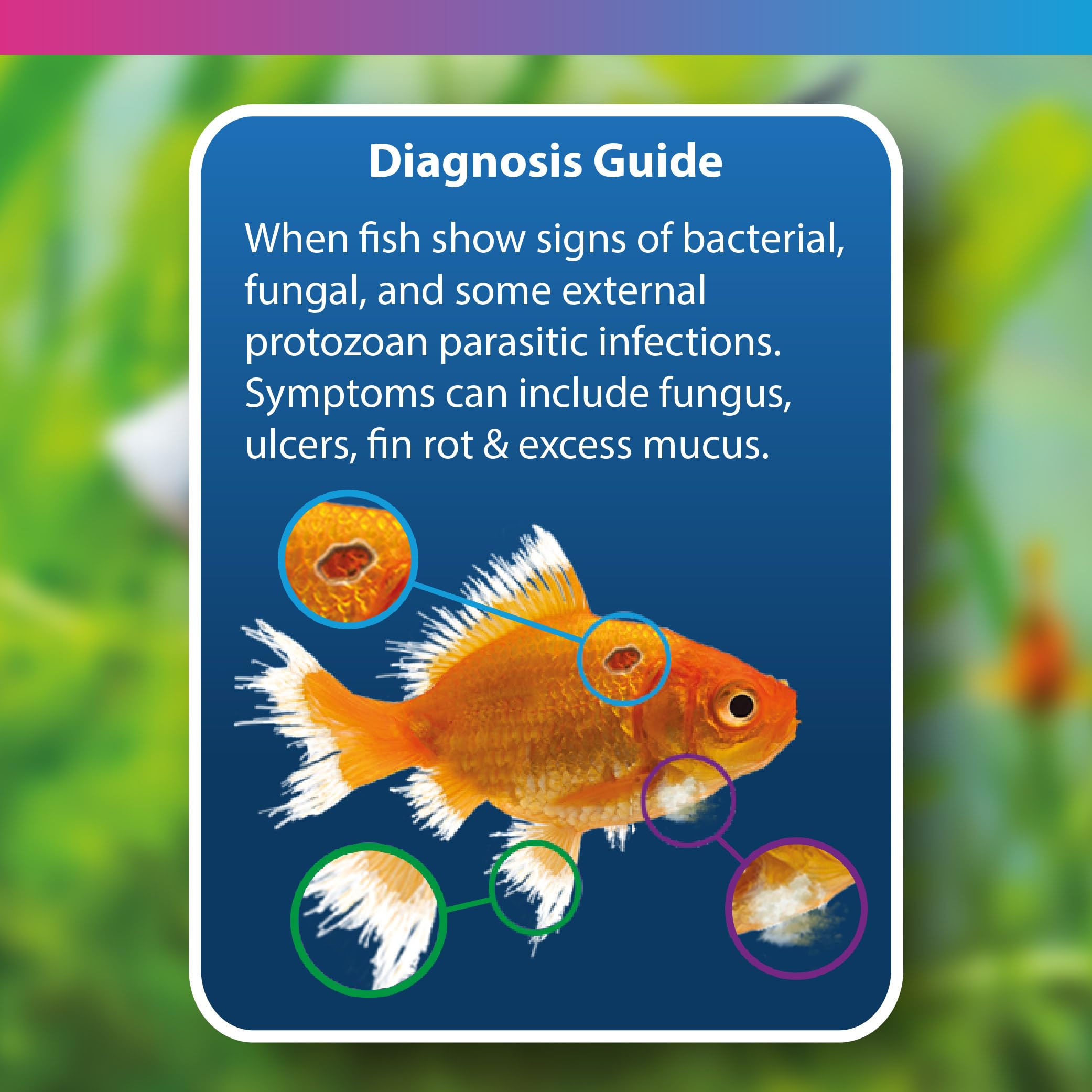 NT Labs Methylene Blue, Aquarium Fish Medicine - Image 4