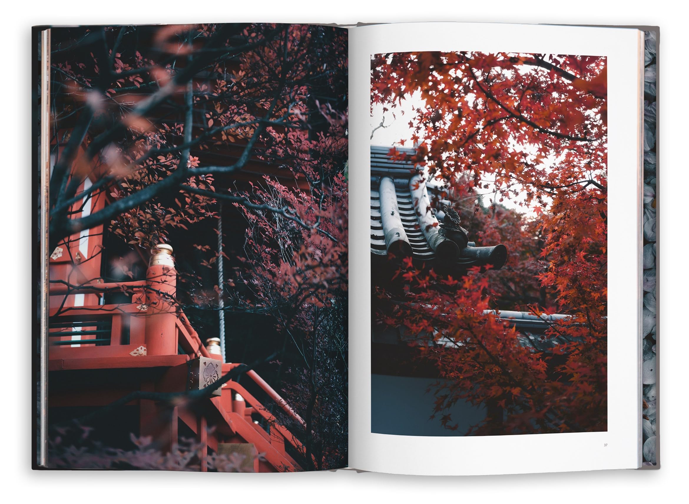 Kyoto Dreaming
