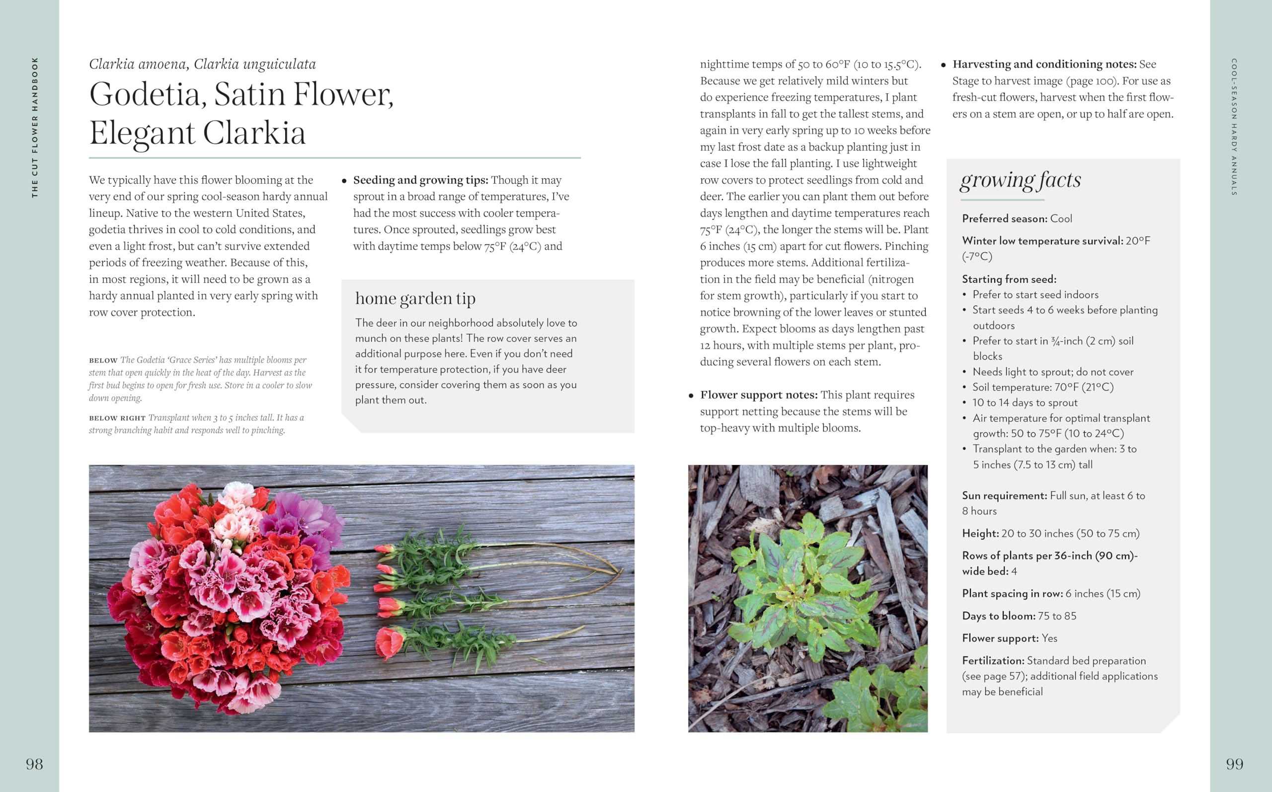 Cut Flower Handbook: Select, Plant, Grow, and Harvest Gorgeous Blooms