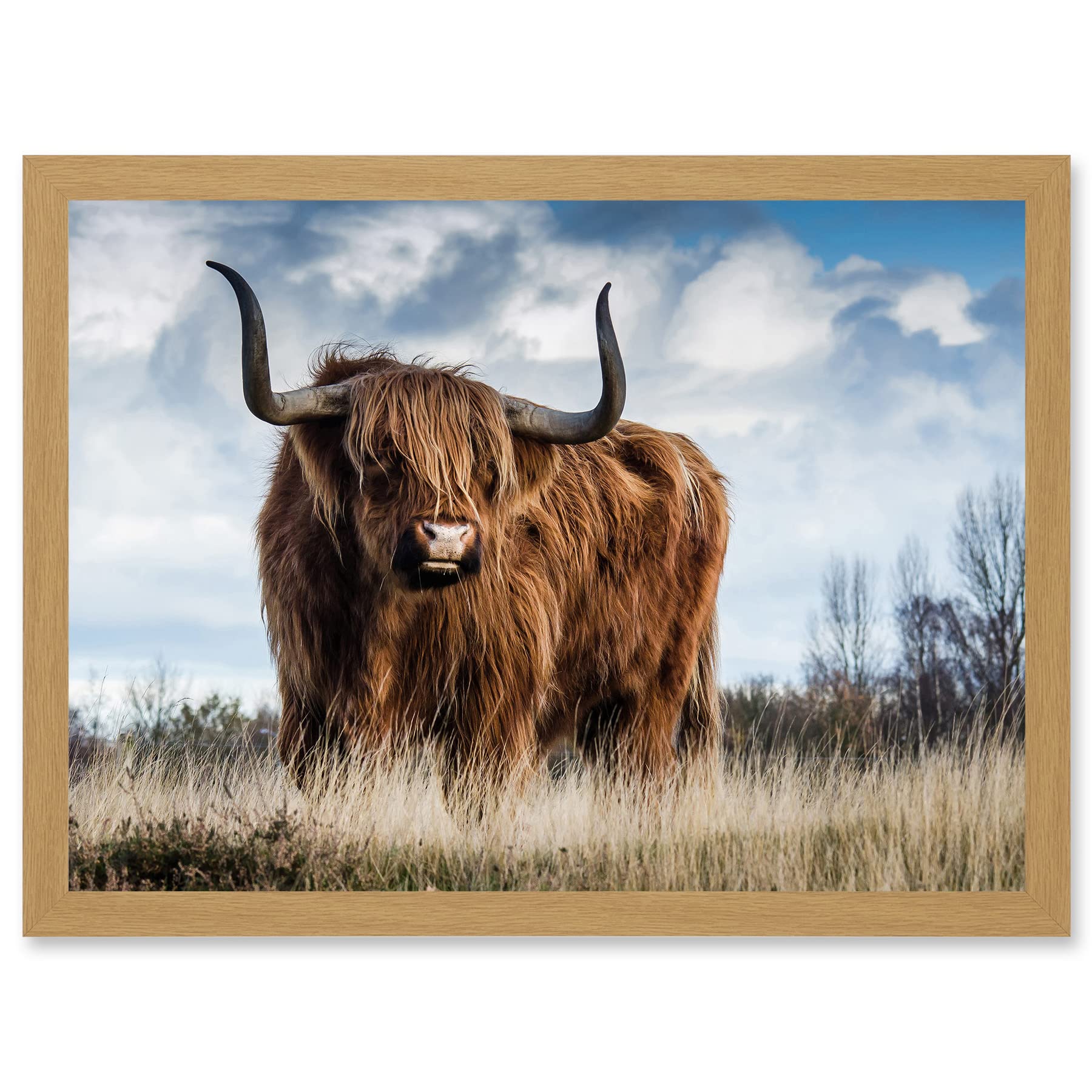 Wee Blue Coo Scottish Highland Cow Hairy Coo Photo Artwork Framed Wall Art Print A4