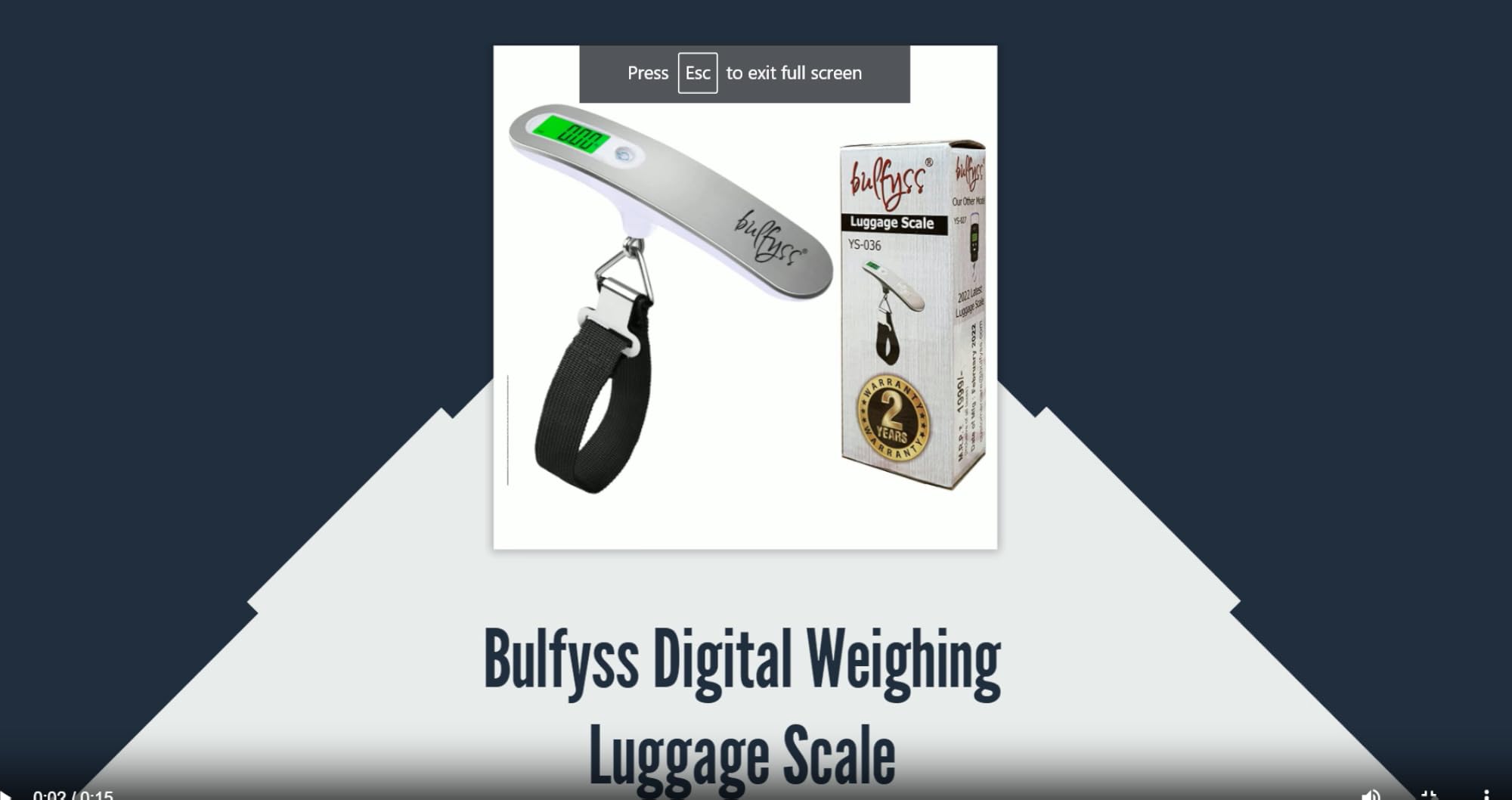 Electronic Metal Portable Belt Hanging Digital Weighing Scale