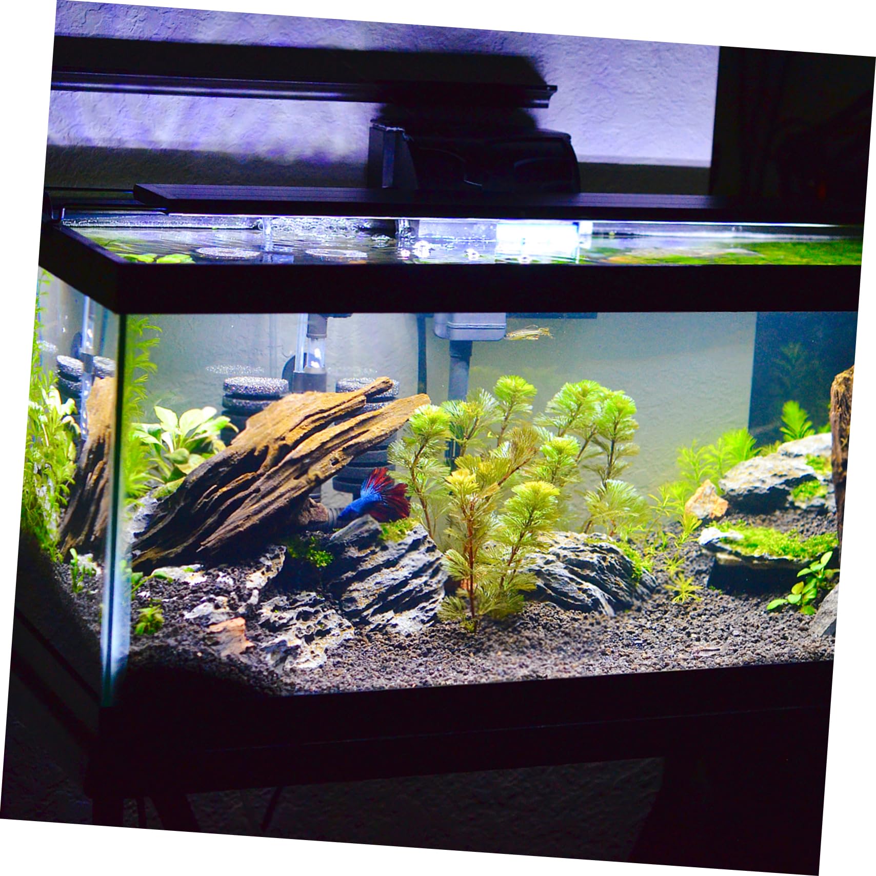 SUPVOX Tapis de Fond pour Aquarium 40x30x0.60cm Tapis Antidérapant en Mousse Épaisse Isolation Thermique Nivellement Réservoir Poissons