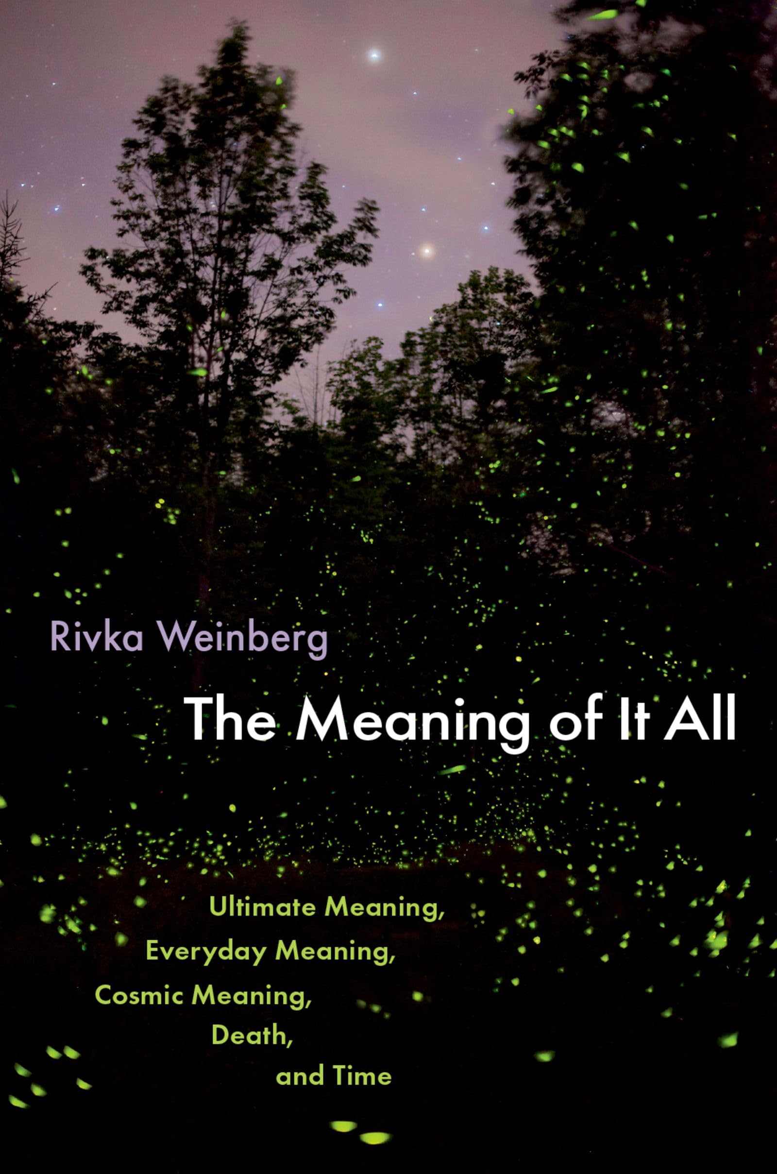 The Meaning of It All by Rivka  Weinberg (Hardback Book)