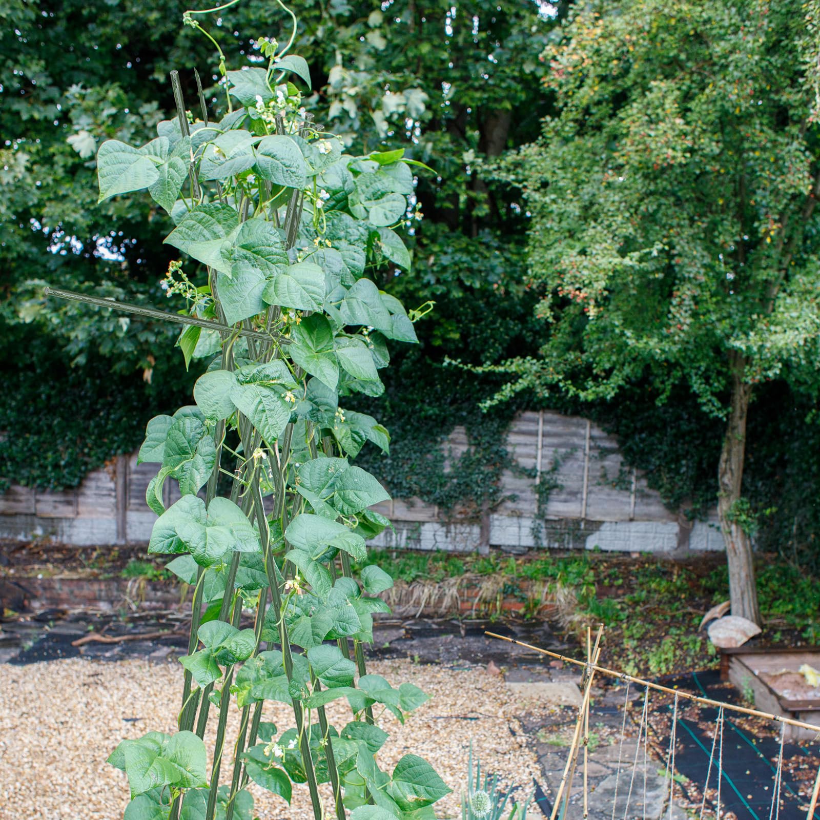 Werkzeug-Gartenpfähle-Set, stabile grüne Pflanzenstäbe, Stützen mit Kunststoffbeschichtung, Klettergerüst mit Binde-Set für Gemüse, Tomaten, Outdoor-Gartenzubehör (grün, 60 cm, 90 cm, 122 cm)