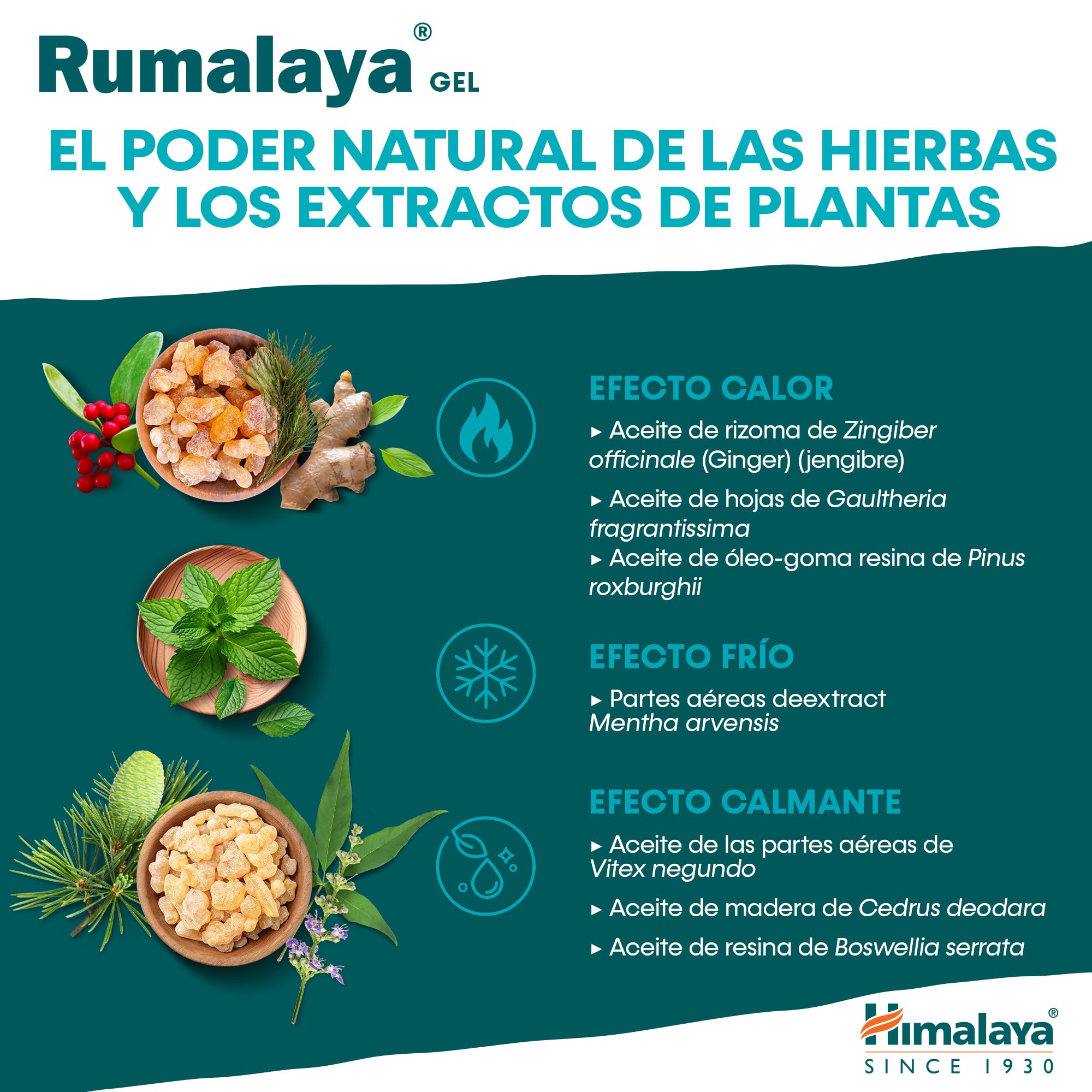 Himalaya Rumalaya Soothing Gel, Fast Action Massage Topical Gel for Renewed Vitality 50 g
