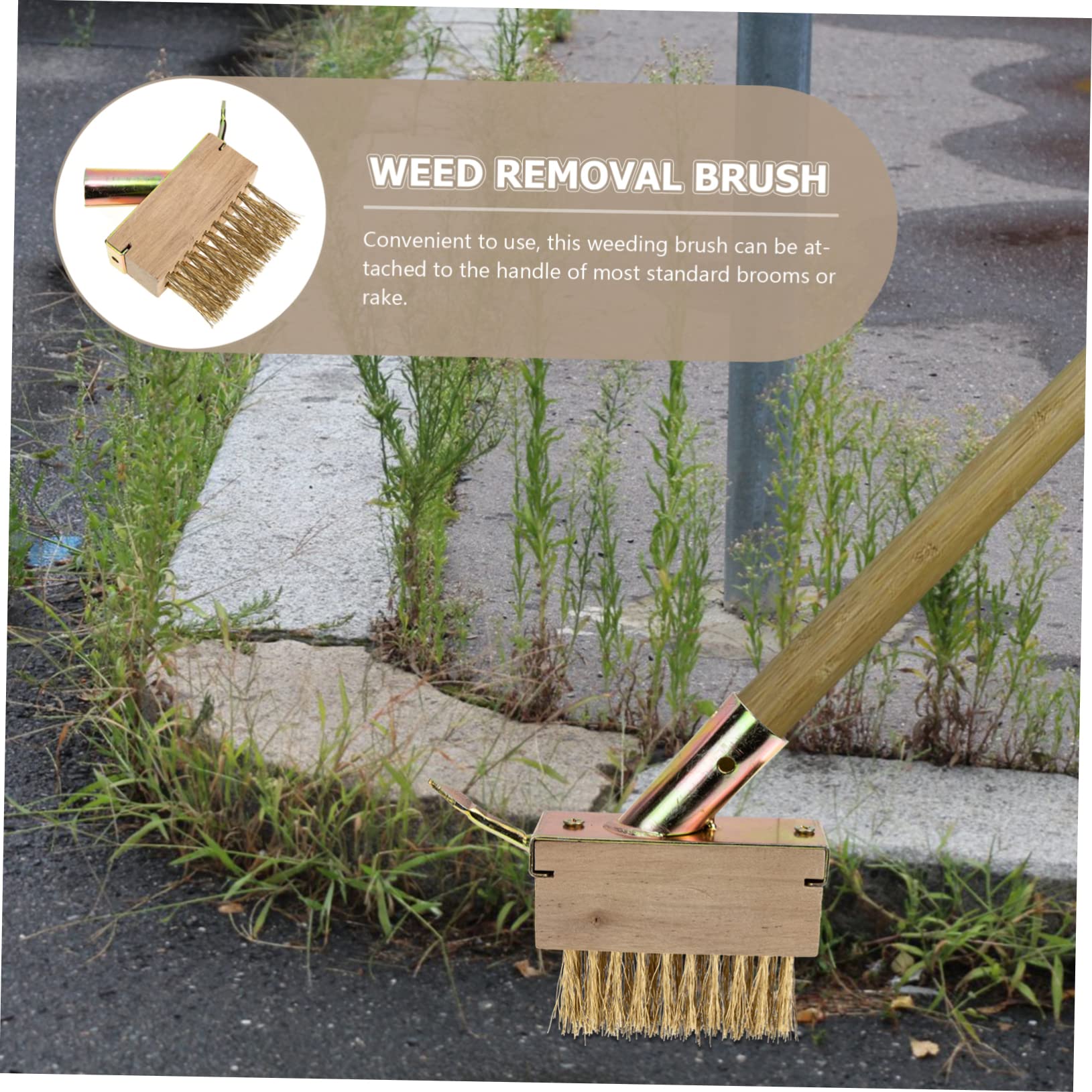 Toddmomy 5 Piezas Cepillo de Jardín para Eliminar Hierbas Cabezal de Repuesto de Inoxidable Herramienta de Jardinería para Limpiar Grietas y Patios Cepillo de Deshierbe Práctico