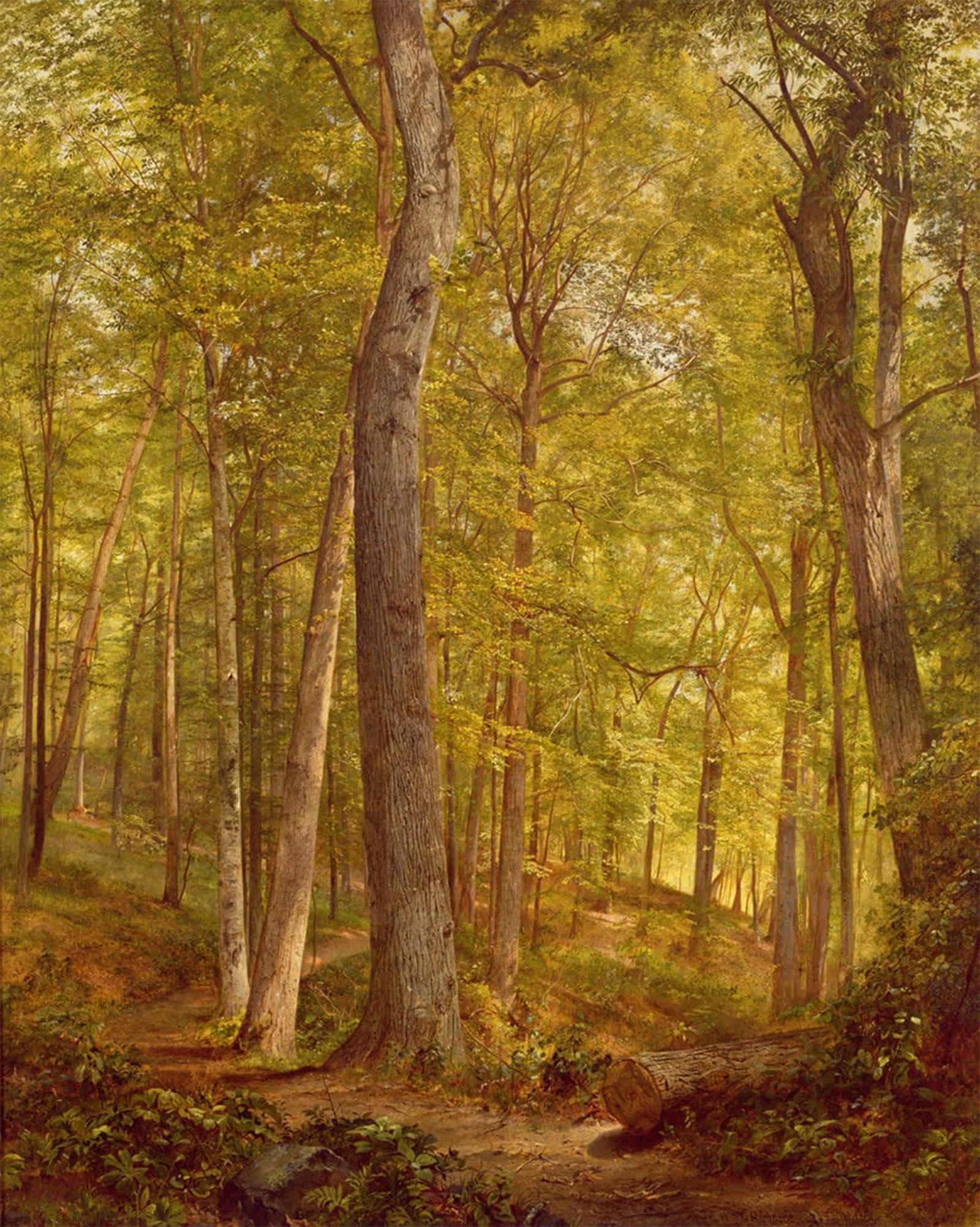 SERENDIPITP Vintage Wall Art Canvas Nordic Poster Canvas Print Picture June Woods Pennsylvania by William Trost Richards Wall Art Poster for Home Decor 60x90cm