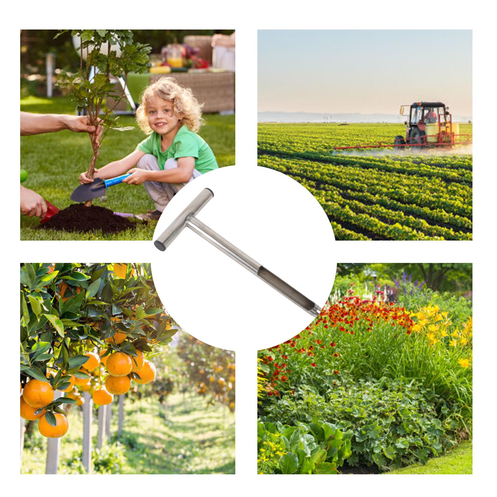 SIXRUN Bodenprobennehmer Edelstahl, 12 Zoll T-Griff mit wiederverwendbaren Probenbeuteln für Garten Landwirtschaft Golfplatz