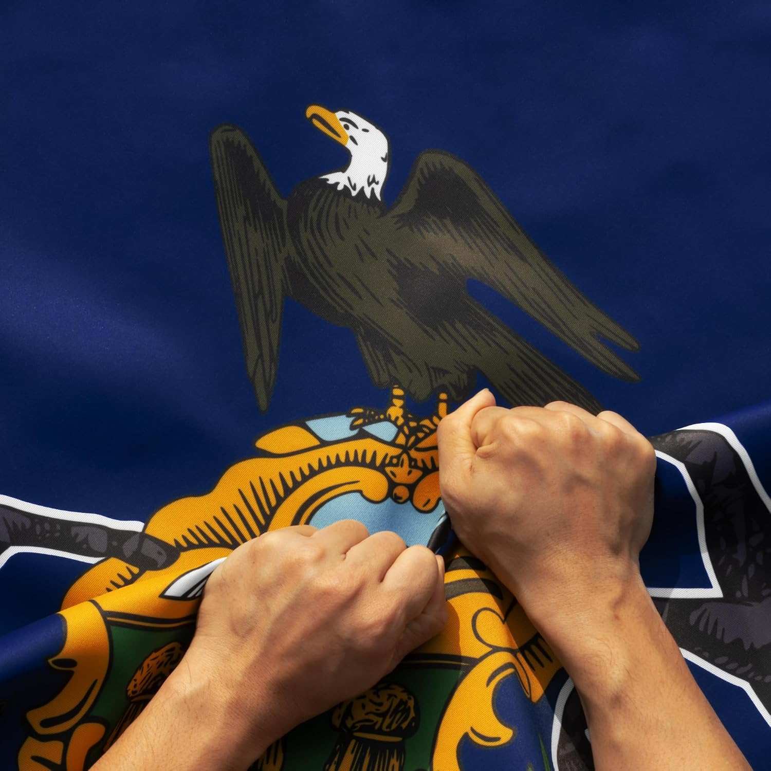 Anley Rip-Proof Double Sided 3-Ply Pennsylvania State Flag 3x5 Foot - Vivid Color, Canvas Header and Wrinkle Resistant - The Strongest, Longest Lasting Pennsylvania PA Flags 3 X 5 Ft