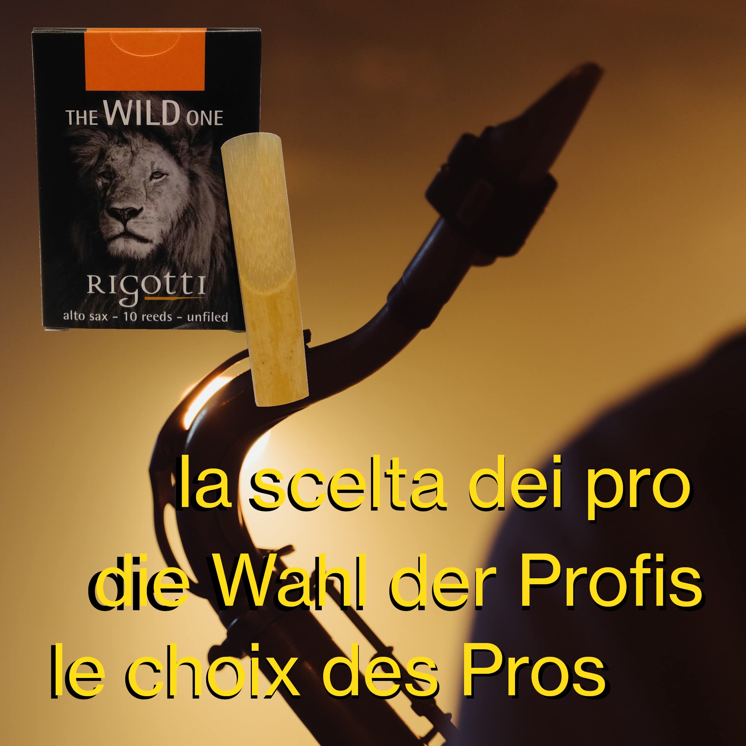 RIGOTTI - Caja de 10 lengüetas para saxofón alto Force 3 – WILD – procedentes de rosales naturales cultivados y secados al sol de Provence