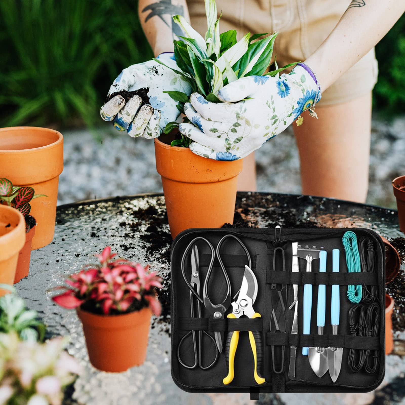 Ensemble d'outils de de Jardinage Succulent, sécateur de Haute qualité, Fil de bonsaï Durable pour Les jardiniers