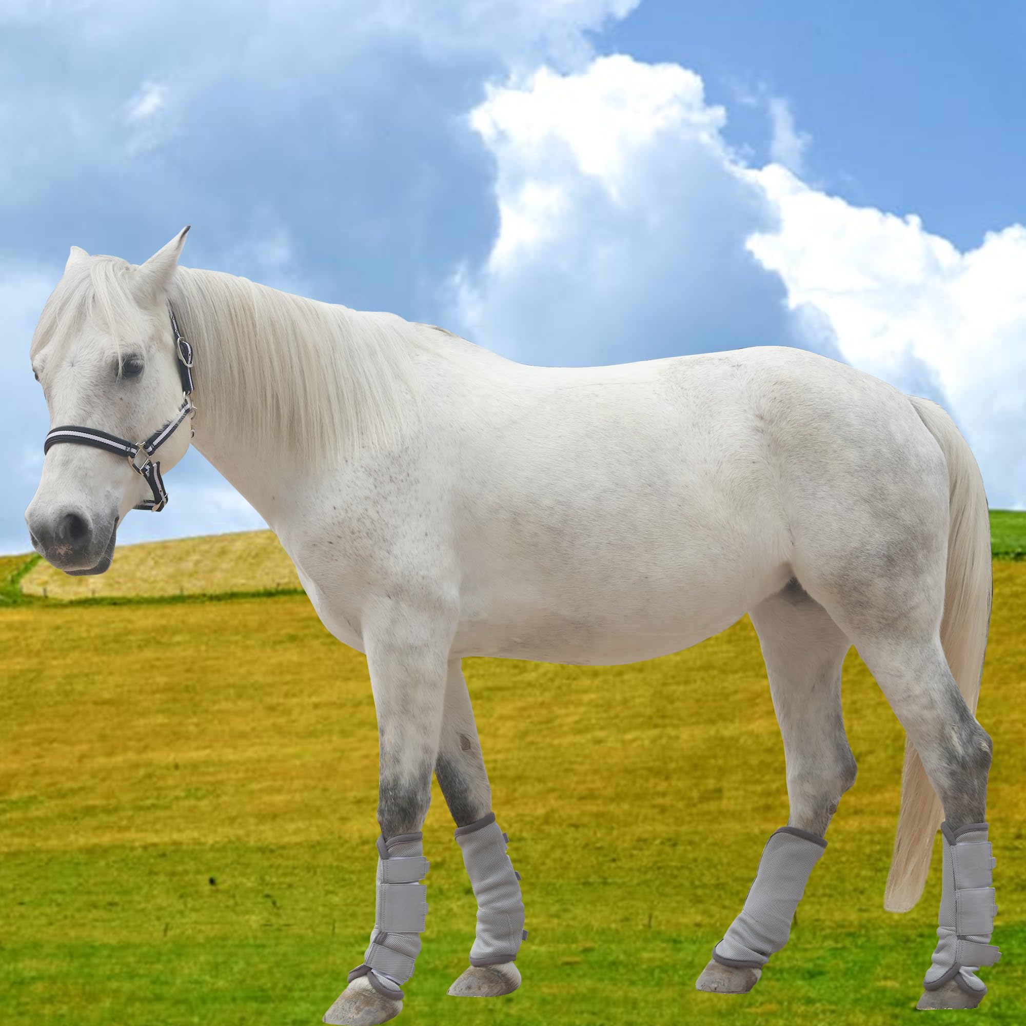 Protectores Caballo, Bota de Caballo Transpirable, con Funciones de protección y Soporte, Protección contra los Rayos UV