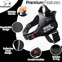 Vista 55 de Personalized No Pull Dog Harness with Custom Name and Phone Number by PawPawify, Heavy Duty Pet Vest to Prevent Tugging, Pulling, or Choking, Blue