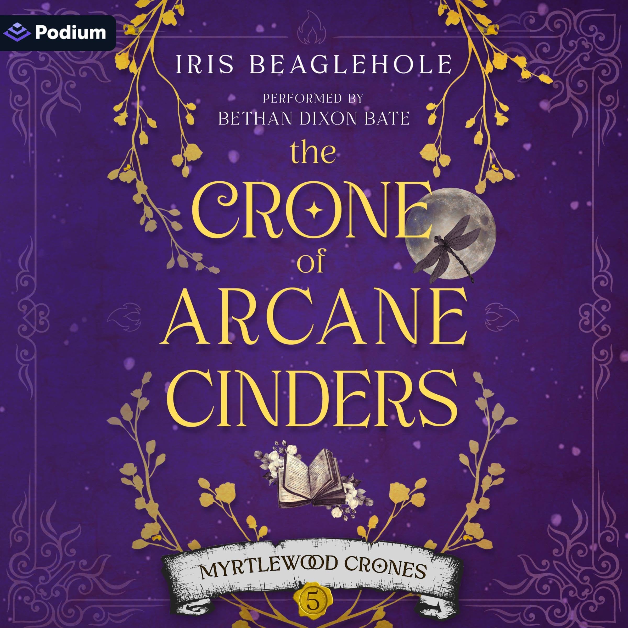 Cover art for The Crone of Arcane Cinders