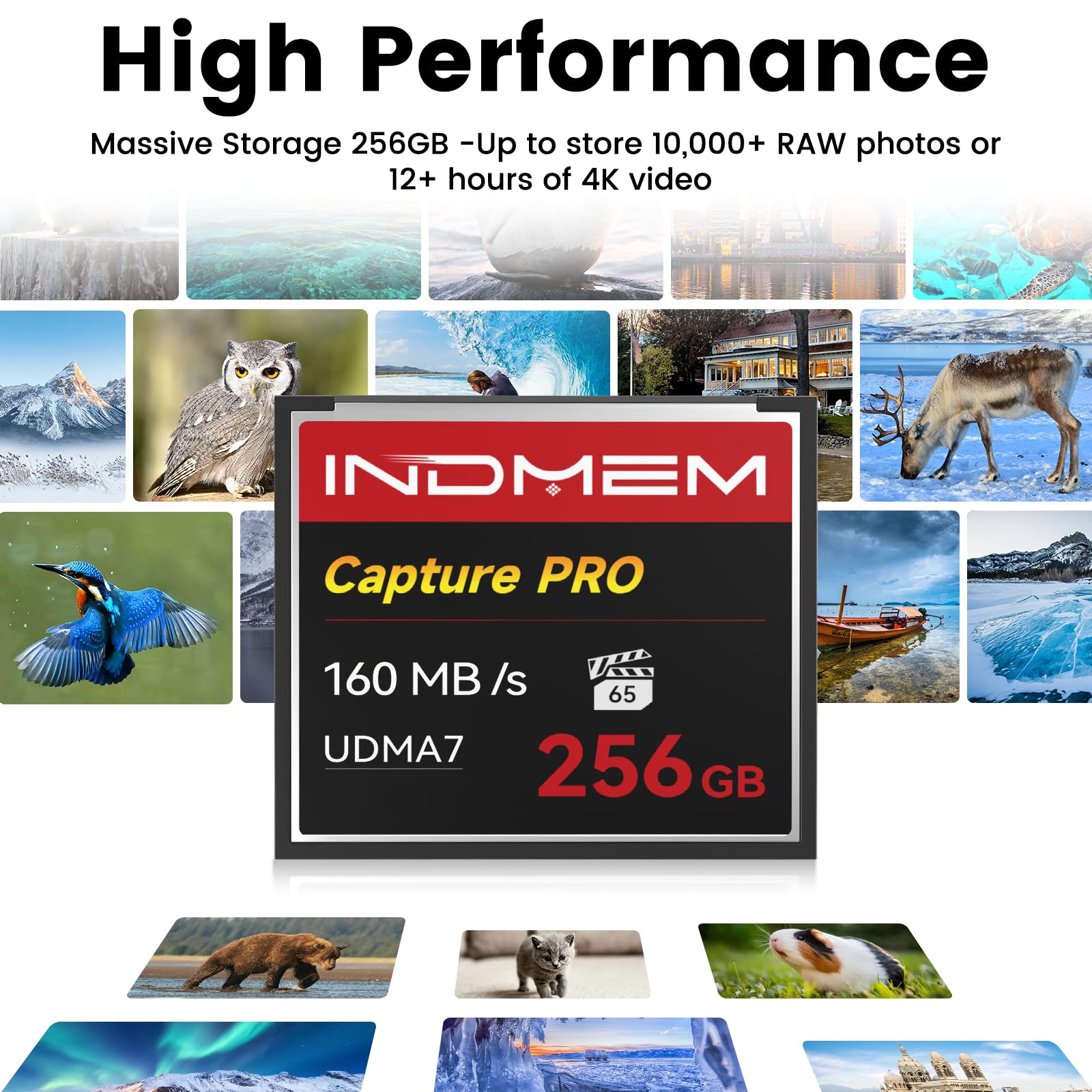 Scheda di memoria CF da 256 GB, UDMA ad alta velocità, fino a 160 MB/s, progettata per fotografi e videografi, supporta riprese continue ad alta velocità o registrazione video 4K