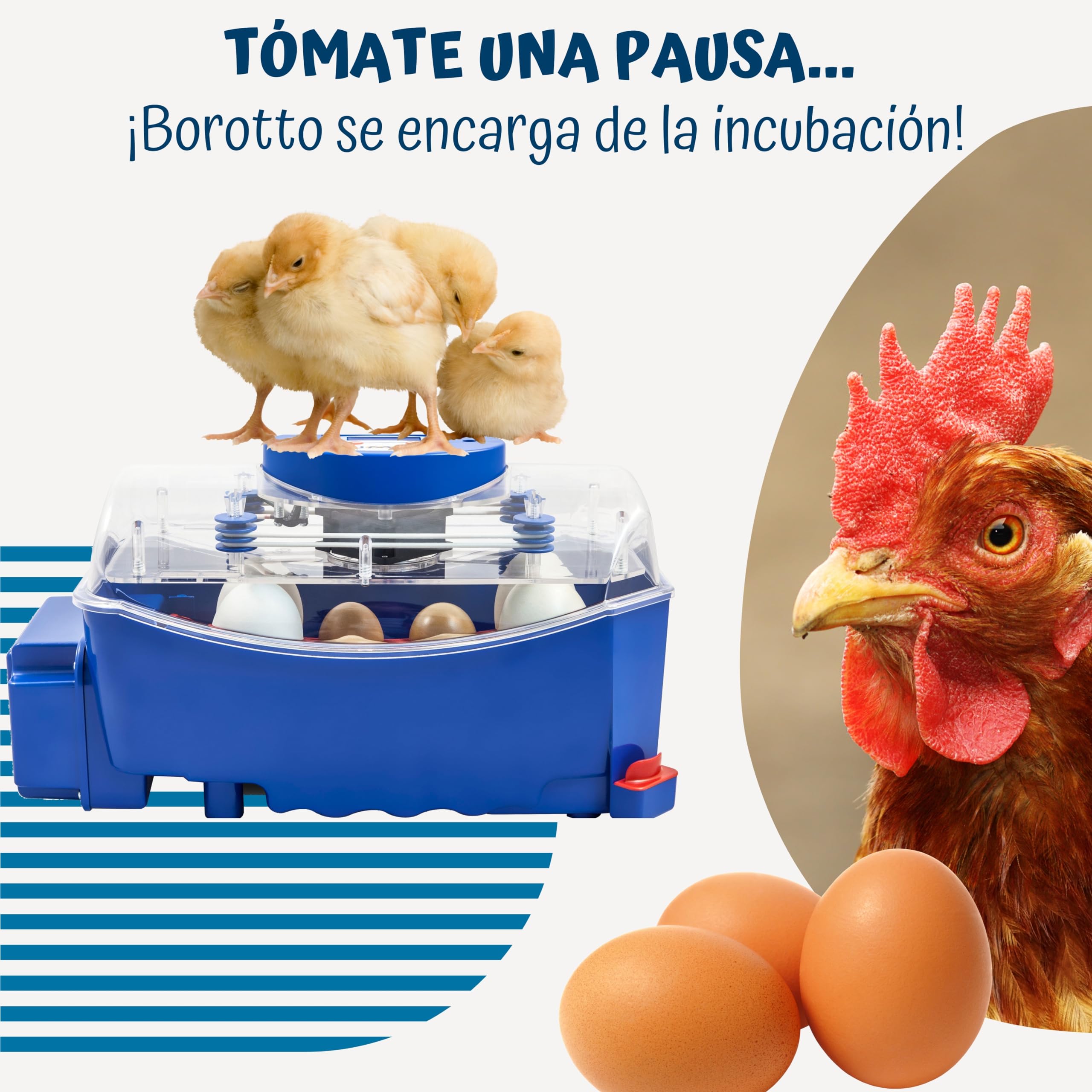 Borotto Lumia 8 | Incubadora de Huevos Automática Profesional Patentada para 8 Huevos o 32 Pequeños con Volteador de Huevos Automático y Control de Temperatura | Made in Italy