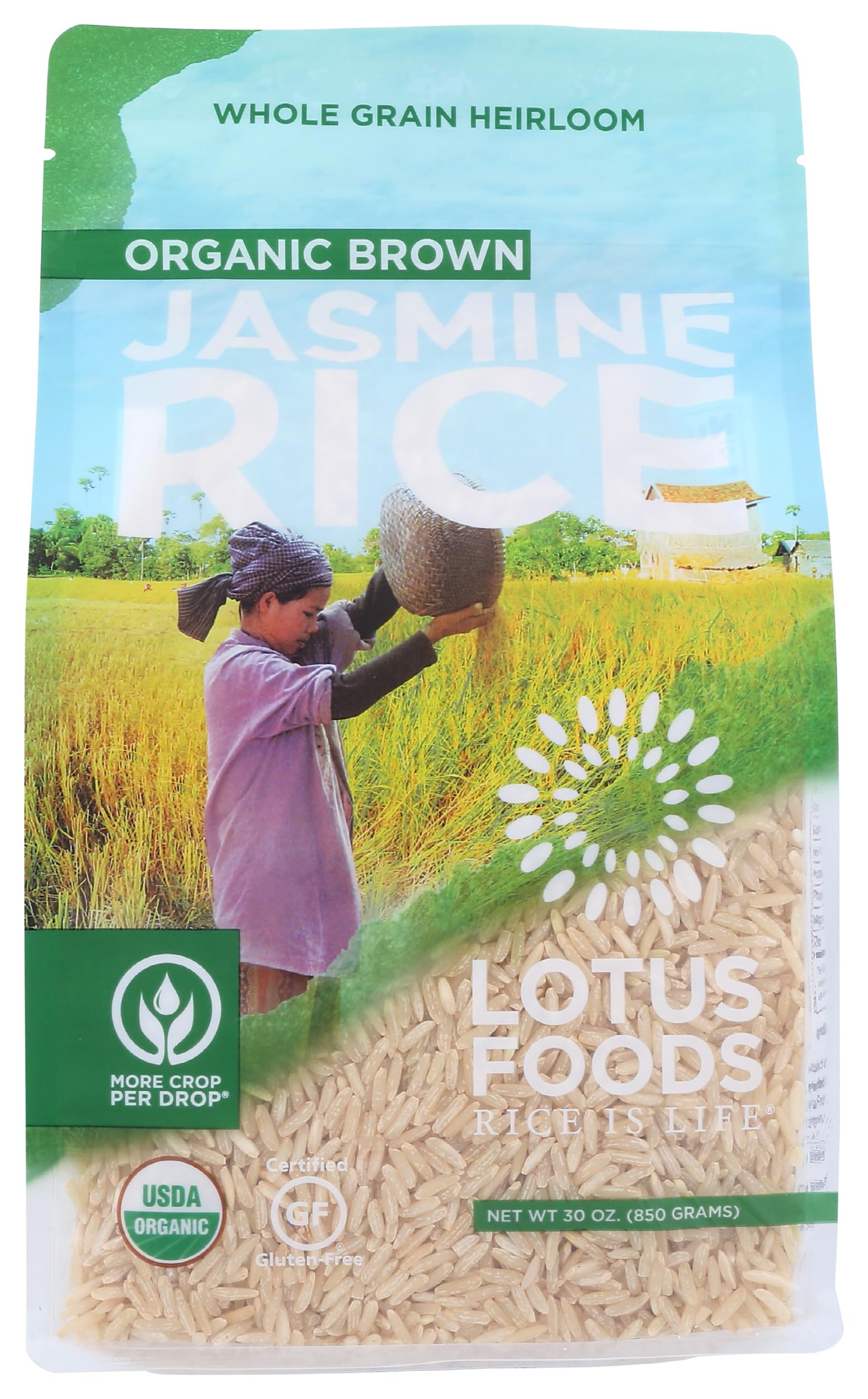 LOTUS FOODS Organic Brown Jasmine Rice, 30 OZ