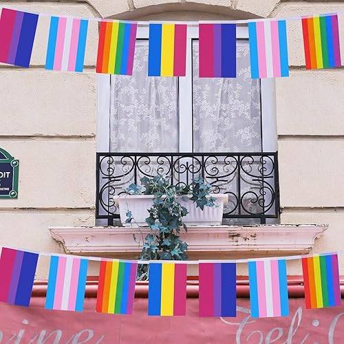 Miniatura 5 de Jmkcoz Banderas de cuerda de arcoíris surtidas, 76 unidades, banderines de orgullo gay LGBTQ para pansexualidad, bisexualidad, transgénero, desfiles