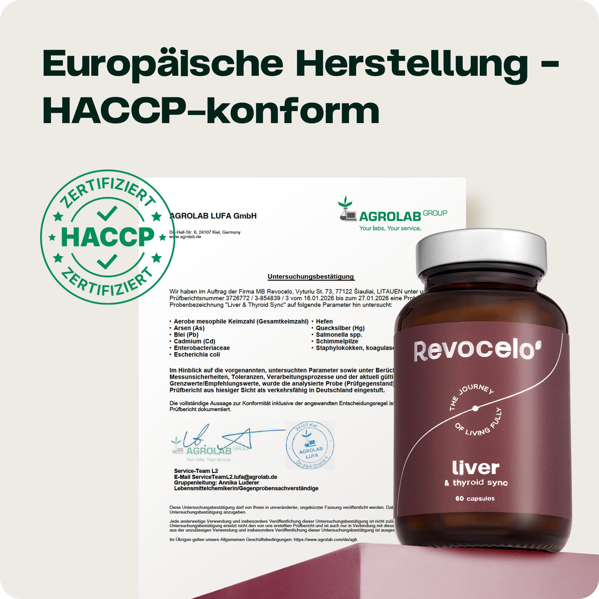 Leber-Komplex mit TUDCA | Schilddrüsen-Umwandler Formel + liposomales Glutathion, Cholin und Selen - produziert in Europa - 60 Kapseln