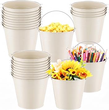Rtteri 24 Pcs Metal Buckets with Handle, Metal Pail for Plants, Beige