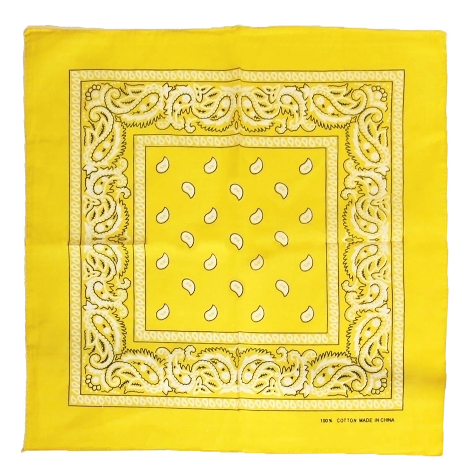 Zac's Alter Ego Retro Vintage Style Cowboy Paisley Bandana/Neckerchief/Durag