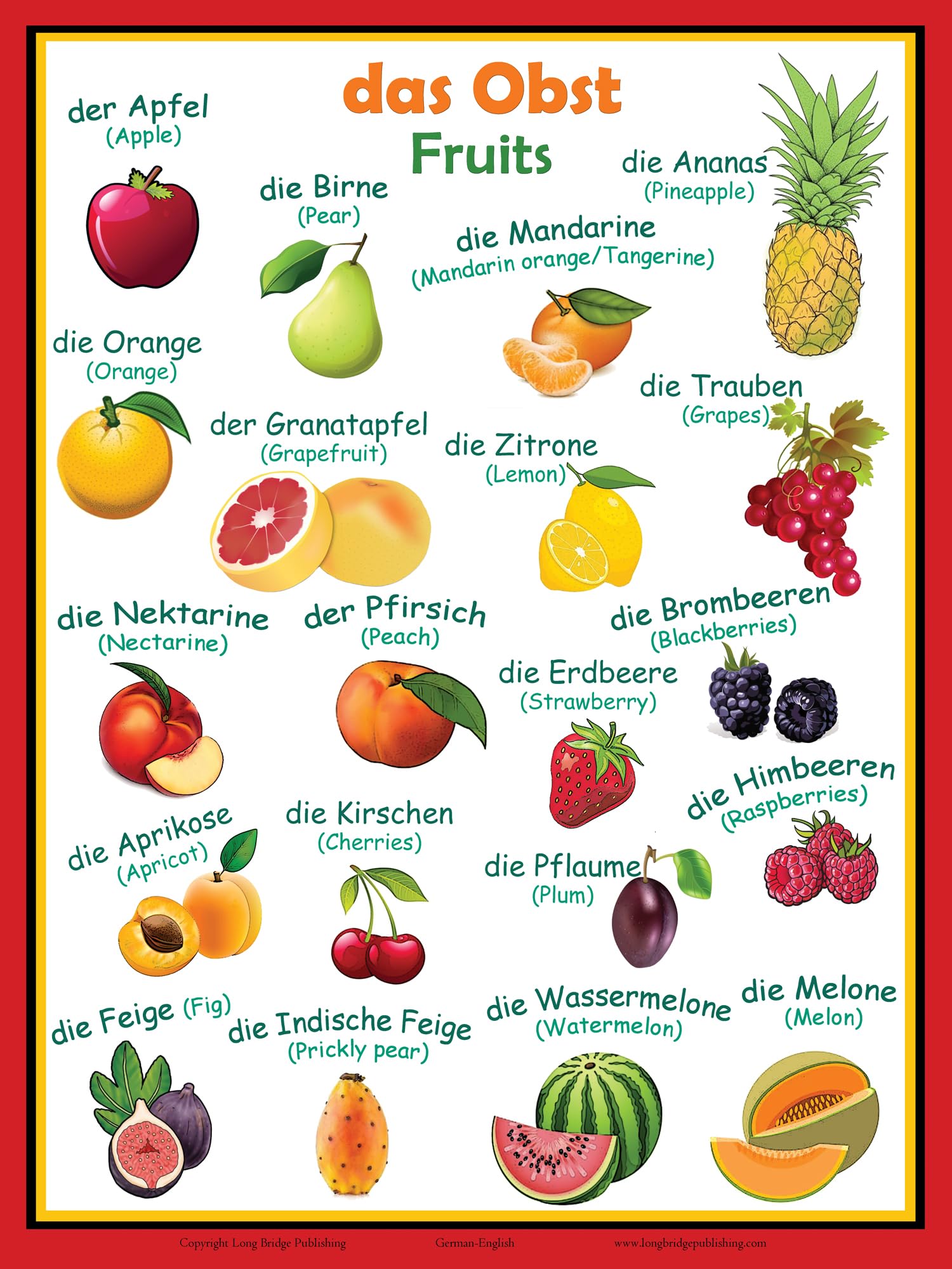Long Bridge Publishing German Language School Poster - Words of common Fruits - Wall Chart for Home and Classroom/German-English Bilingual Text (18x24 inches)