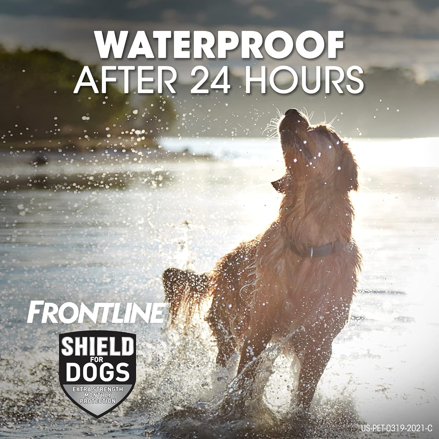 FRONTLINE Shield for Dogs Flea & Tick Treatment, 41-80 lbs, 3ct : Pet Supplies