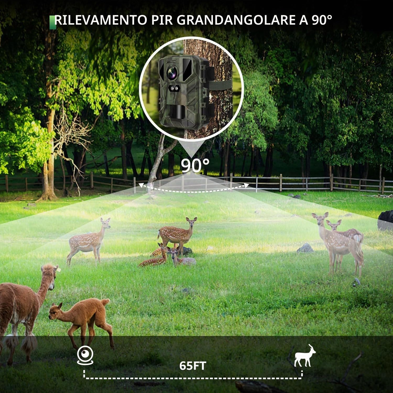 Mini Fototrappola Notturna 50 MP 4K, Fotocamera Caccia 850nm IR LED, Fototrappole Velocità di Trigger 0,2S, Impermeabile IP65, Fino a 25m, con Scheda da 32GB (MINI800)