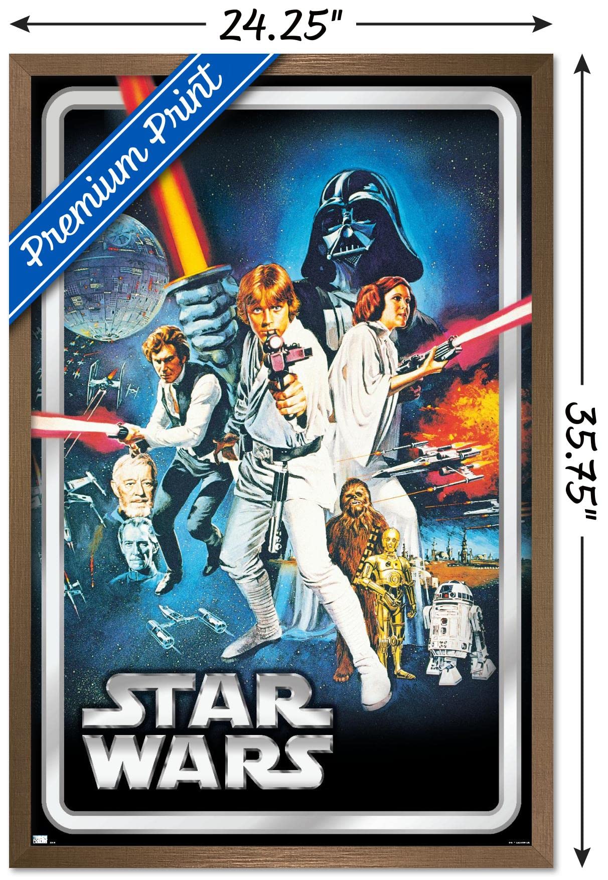 スターウォーズ　STAR WARS　ポスター Amazon.com: Star Wars: A New Hope - Classic Pose Wall Poster, 34L