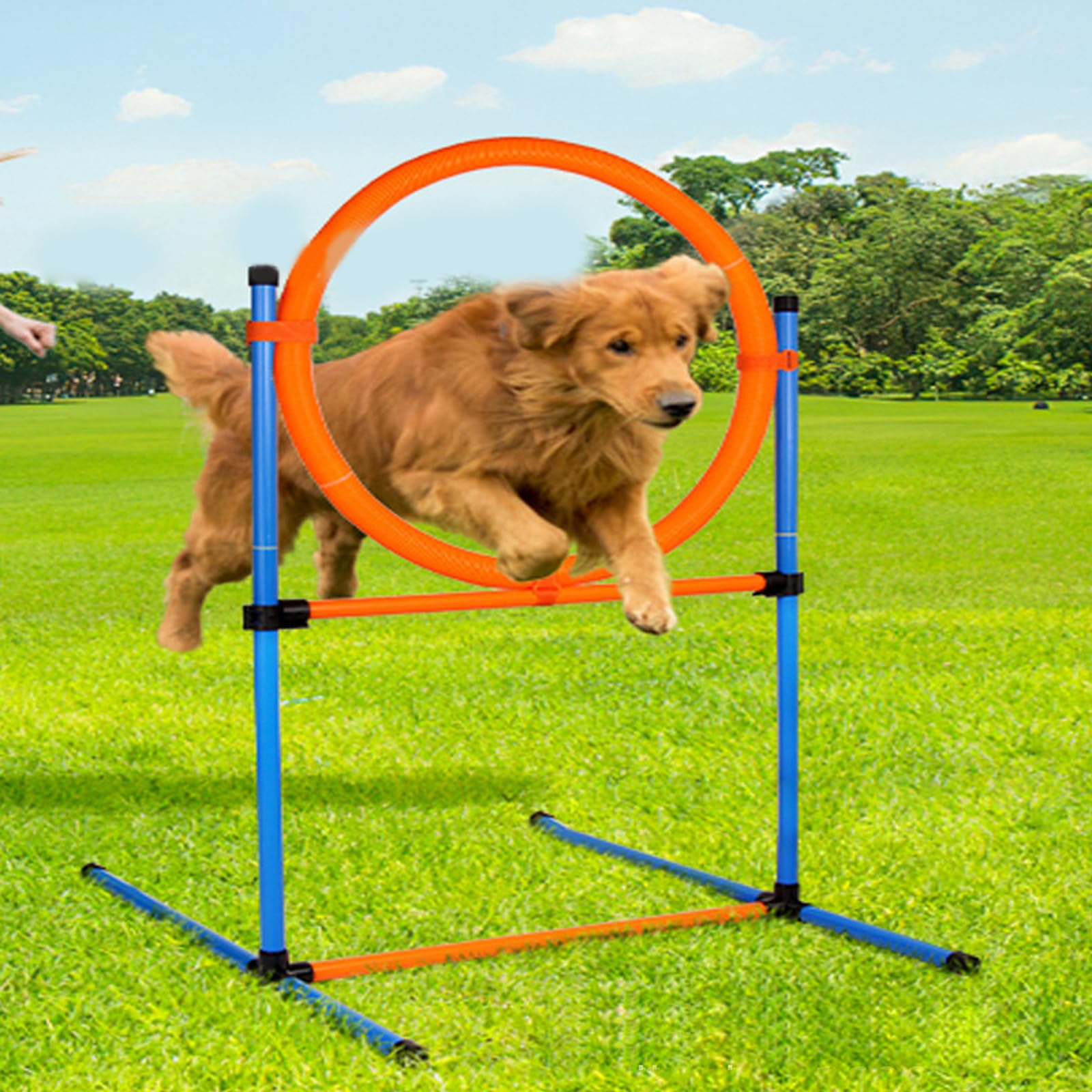 Dog Toy Buy XiaZDog Agility Training Equipments, Obstacle Courses