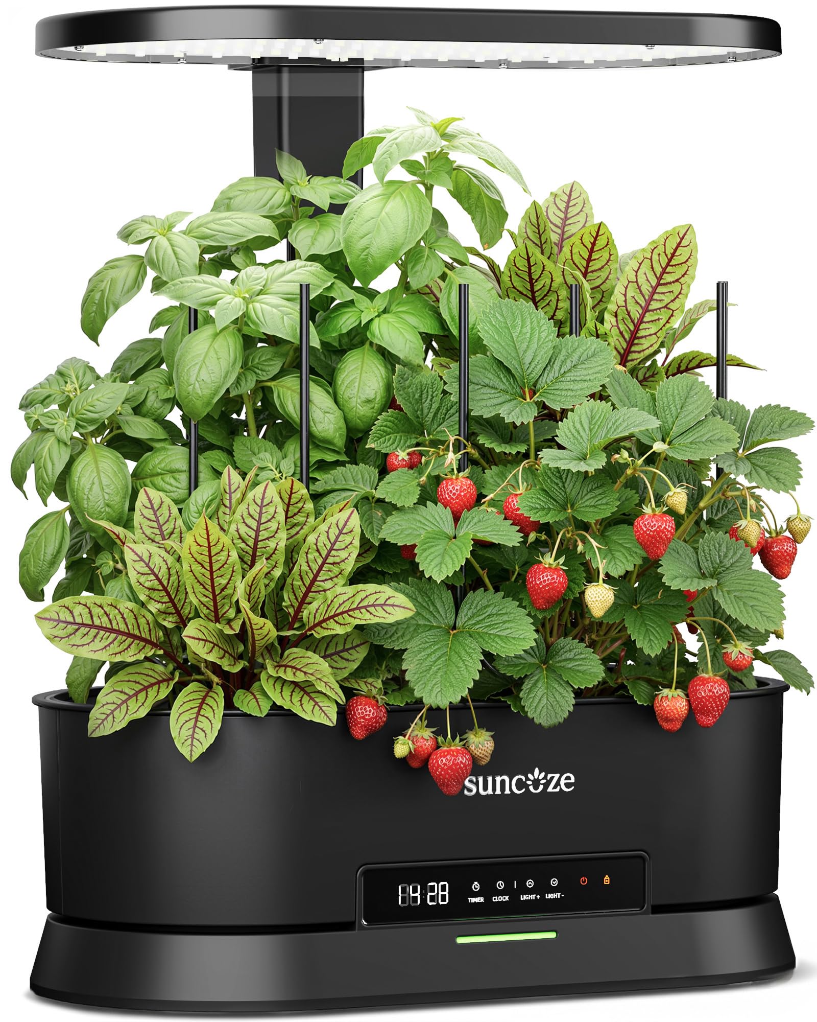SUNCOZE Abnehmbarer Hydroponisches Anzuchtsystem mit 12 Hülsen, Schwarz | Indoor Kräutergarten mit 36W LED Pflanzenlampe, 5L Wassertank, Höhenverstellbar bis 550 mm, Hydroponik System mit Timer