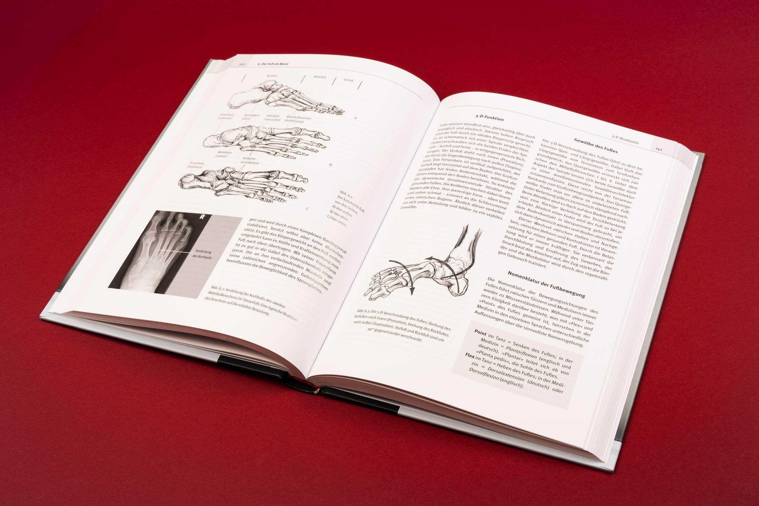 Tanzmedizin in der Praxis: Anatomie, Prävention, Trainingstipps