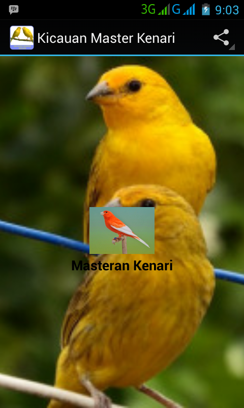 La Casa Educativa Degli Uccellini