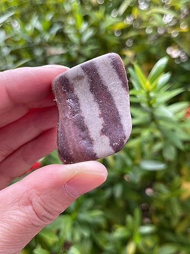 Miniatura 179 de GAF TREASURES Piedras pulidas de ojo de tigre de 1/2 libra, piedra preciosa natural pulida, cristales curativos de ojo de tigre (ojo de tigre)