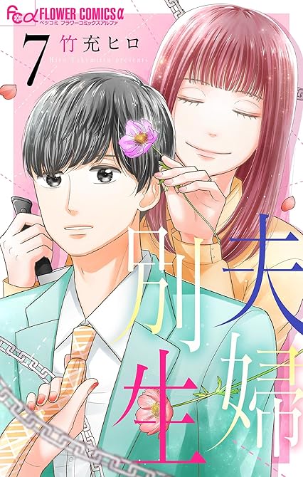 夫婦別生 7の表紙イラスト