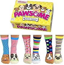 United Oddsocks - Box 6 Oddsocks Women Pawsome, UK 4-8, EUR 37-42, US 6.5 -10.5, Multicoloured