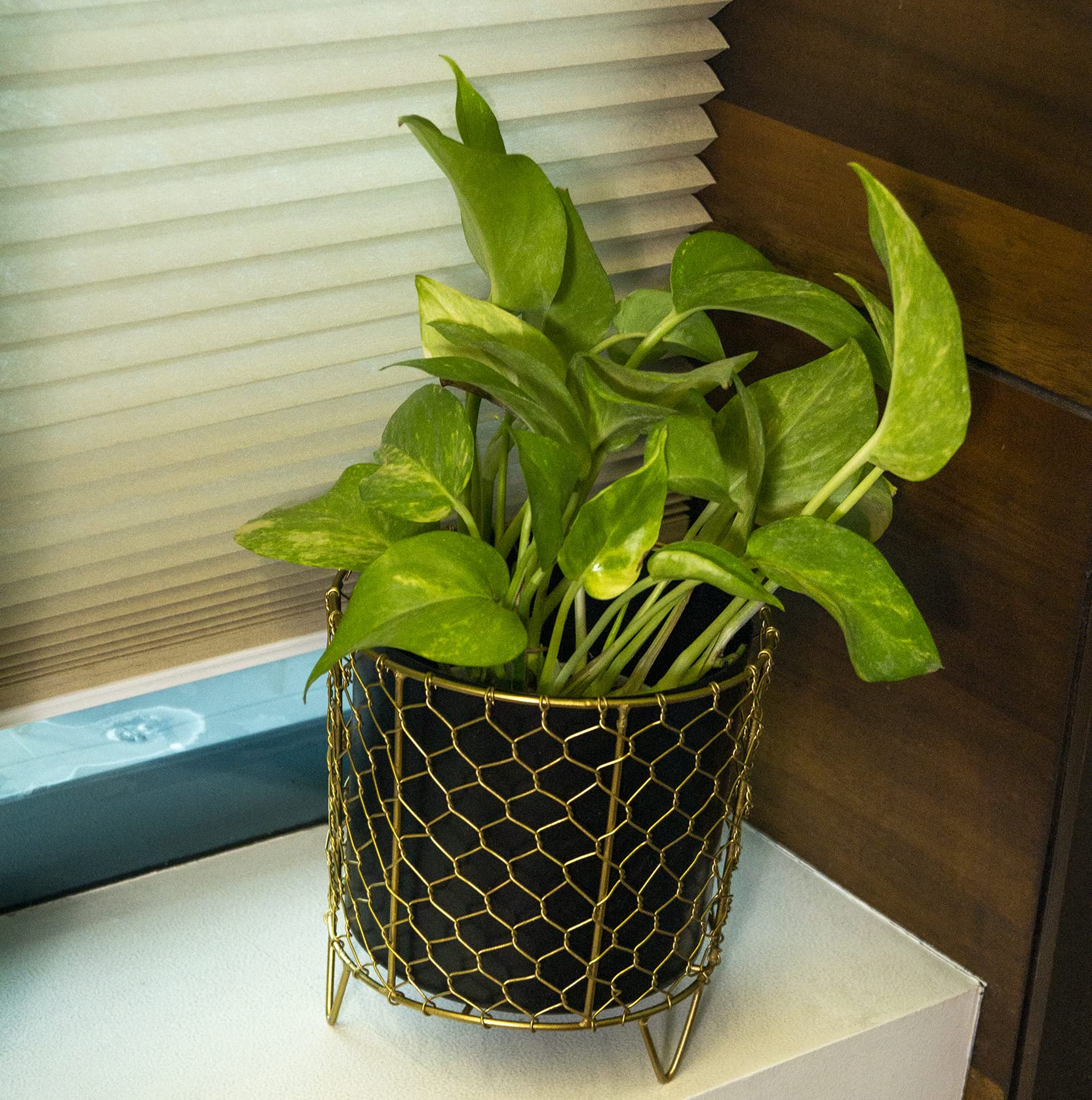 KYARI Joyeria Metal Pots for Indoor Plants with Drainage Hole & Stand (Best Flower Pots & Planters for Home Decor, Living Room, Kitchen, Bedroom, Table Top, Office, Gifting,Pack of 1) (B09SLXD67R) Amazon Price History, Amazon Price Tracker