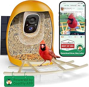 HIXX Smart Bird Feeder with Camera, Lifetime Free AI Identify Birds & Auto Capture, 2K HD Live Camera Birdwatching with Color Night Vision for Bird Lovers Gifts (Orange) asin的图片